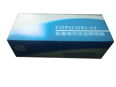 【ROMUON牌 COP-21R 220V 防雨型 起重機吊車按鈕開關【不帶電容】】價格,廠家,圖片,電工開關,溫州奇璽電器科技-